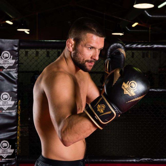 Boxing gloves made of natural leather B-2v13