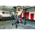 BODYBUILDING WEIGHT BELT - DIP BELT BUSHIDO