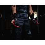 PROFESSIONAL TRAINING HOOKS WITH STRENGTH TRAINING STRAPS DBD-G-2
