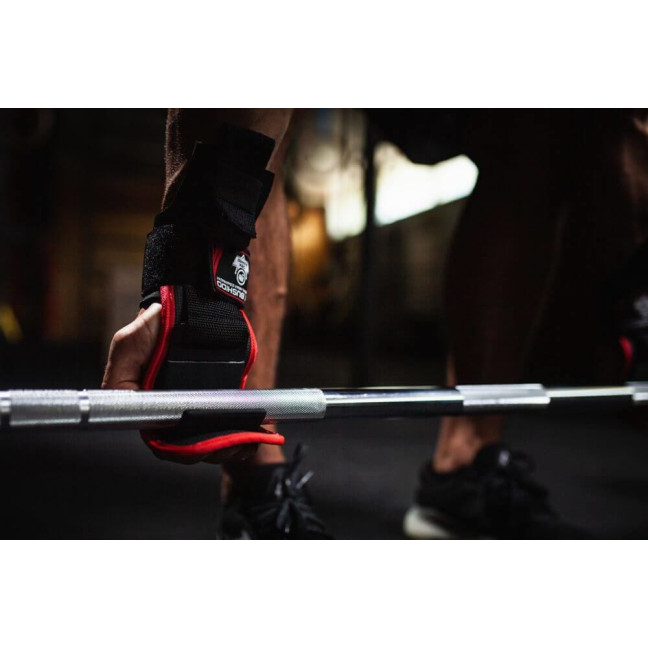 PROFESSIONAL TRAINING HOOKS WITH STRENGTH TRAINING STRAPS DBD-G-2