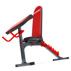 An exercise bench with a set of barbells and weights
